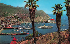 Santa Catalina CA California, Avalon Bay Harbor, Skyline Drive, Vintage Postcard picture