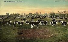 POSTCARD Antique 1912 ADA, Oklahoma CATTLE Raising Black & White COWS RPPC Real picture