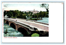 c1900s Goat Island Bridge New York NY Unposted Antique PMC Postcard picture