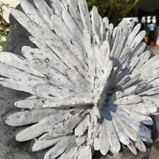 88LB Natural chrysanthemum stone quartz carving aura healing gift picture