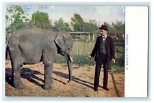 c1910's Lincoln Park Elephant Scene Chicago Illinois IL Antique Postcard picture