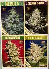 Vintage marijuana postcards Amsterdam Highlife Hightimes Cannabis Cup cause lot picture