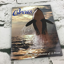Orcas A Collection Of 12 Postcards Wildlife Photography Pacific Northwest Whales picture