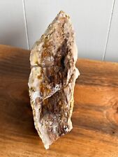 true beauty petrified wood cleaned natural many colors rare display opalized picture