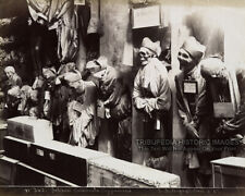  1895 Vintage Photo Skeletons in Convent Catacombs - Bizarre Odd Strange Creepy picture
