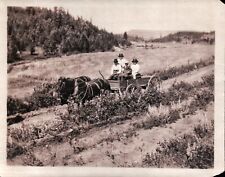 Vintage 1905 Old Photo of Family Traveling in Horses & Buggy Dirt Path Forest picture