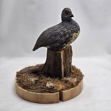 Nice Realistically Carved Wood Or Resin Quail Bird And Babies Figures On Log  picture