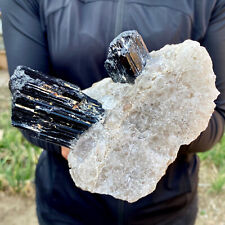 2.31LB Natural black tourmaline Crystal gemstone rough mineral specimen picture