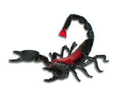 AAA 22240 Scorpion Toy Arthropod Replica Prop Model - NIP picture