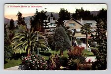 CA-California Scenic Home in Midwinter Large Plants Garden Vintage Postcard picture