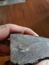 chlorastrolite greenstone michigan Copper picture