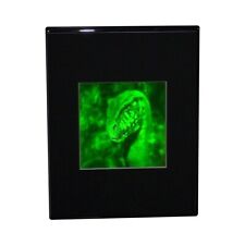 VELOCIRAPTOR (JURASSIC PARK) 3D DESK STAND Hologram Picture, Photopolymer Type picture