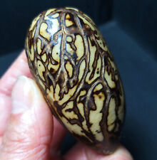 RARE 45G Natural Polished Wood Grain Bodhi Crystal Healing  B135 picture