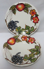 PIER 1 New Harvest Earthenware Dinner Plate Set 2 Dish Micro Safe Italy NEW NWT picture