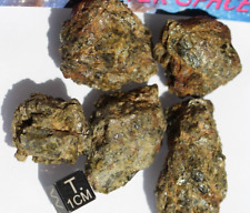 Meteorite NWA 7831 Diogenite HED Achondrite meteorite, 100 grams picture