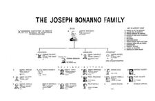 JOSEPH BONANNO FAMILY CHART  8X10 PHOTO MAFIA ORGANIZED CRIME MOB MOBSTER PICTUR picture