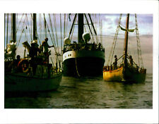 Greenpeace vessel SV Rainbow Warrior is joined... - Vintage Photograph 4323125 picture