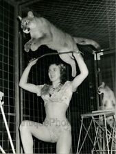 Puma wild cat jumping over woman w whip animal trainer vintage circus photo picture
