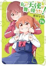 An angel descended upon me vol.1-14 Manga Comic JP Edition  picture