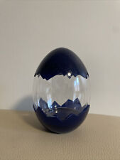 1pc Egg Shaped Container Water Bottle (Navy Blue) 500ml TikTok picture