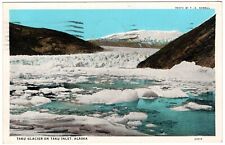 Taku Glacier Taku Inlet Alaska Territory AK Juneau White Border Postcard 1936 picture