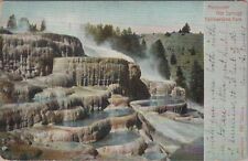Mammoth Hot Springs Yellowstone Park WYO 1904 PM HaynesPostcard picture