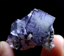 12g Natural Phantom Window Purple Fluorite Mineral Specimen/Yaogangxian China picture
