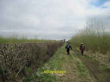 Photo 12x8 Bio Fuel crops either side of bridleway Barton-le-Street Slings c2013 picture