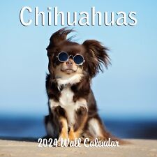 2024 Chihuahua Dogs Monthly Wall Calendar 2024 picture