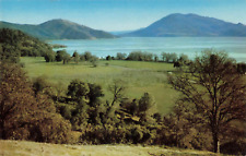 Clear Lake CA California, Fresh Water Recreation Area Landscape Vintage Postcard picture