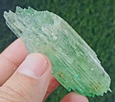 344carats A beautiful piece of lustrous green kunzite crystals from AFGHANISTAN picture