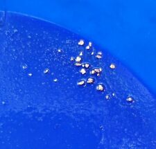 Gold Panning Paydirt 2 Lb. Guaranteed GOLD Unsearched Black River Find Real Gold picture