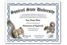 Squirrel State University Personalized Diploma w/ Gold Seal Novelty Funny Gag picture