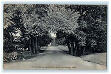 1909 Willow Arch on Lennox Middle Road, Stockbridge, Massachusetts MA Postcard picture