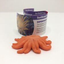 Sunflower Sea Star With Flyer. Yowie Animals with Superpowers Collectible Figure picture