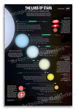 The Lives of Stars - NASA Astronomy Educational Poster - 16x24 picture