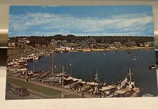 Postcard Rppc Oak Bluffs, Mass. General View of Oak Bluffs Harbor. Unposted picture