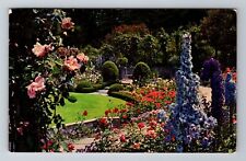 Victoria-British Columbia, Butchart Gardens, Delphiniums, c1967 Vintage Postcard picture