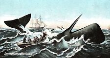 C.1910 Sperm Whaling, 