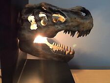 Dinosaur fossil light picture
