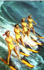 c. 1955 Water Skiing Sarasota Florida Women In Bathing Suits  Postcard A67 picture