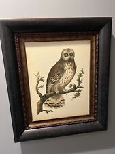 Nozeman Owl Beautiful Wood framed picture on canvas 25