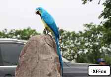 big simulation parrot model foam&feather blue&yellow parrot bird gift about 60cm picture