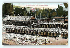 Pigeon Farm Los Angeles California Vintage Postcard E4 picture