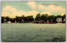 Postcard The Mill Pond, Riverhead, Long Island NY 1911 V110 picture
