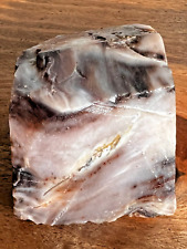 petrified wood rough Wa State opalized lapidary display 1.1 lb deep purple white picture