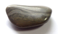 COTHAM MARBLE TUMBLESTONE - 3.1 x 1.8 cms 7.87 gms #23 - stromatolites UK picture
