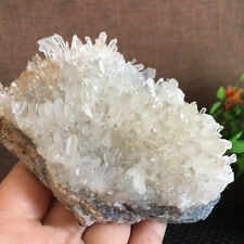 336g New Find White  Quartz Crystal Cluster Mineral Specimen Healing B2118 picture