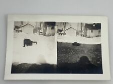 (AdC) Vintage FOUND Double PHOTO Photograph Snapshot Black Cat In The Snow  picture