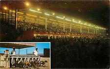 Greyhound Dogs Race Daytona Beach Kennel Club Florida FL Postcard picture